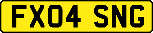 FX04SNG