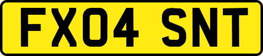 FX04SNT