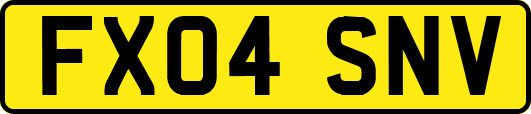FX04SNV