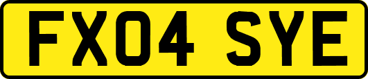 FX04SYE