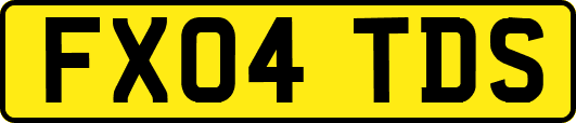 FX04TDS