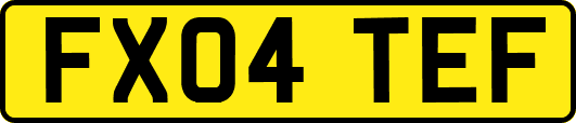 FX04TEF