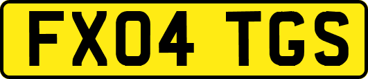 FX04TGS