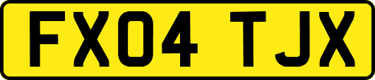 FX04TJX