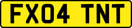 FX04TNT