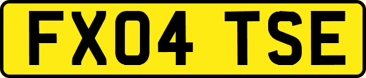 FX04TSE