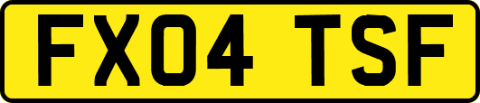 FX04TSF