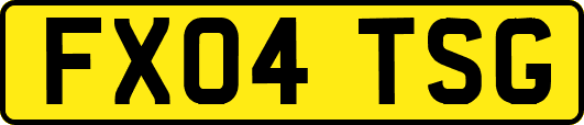 FX04TSG