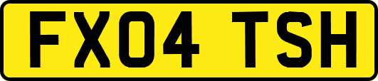 FX04TSH