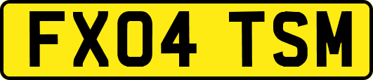FX04TSM