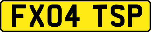FX04TSP