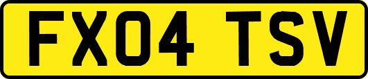 FX04TSV