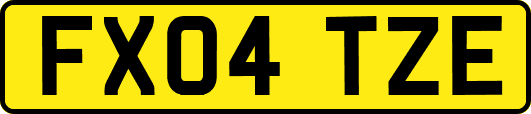 FX04TZE