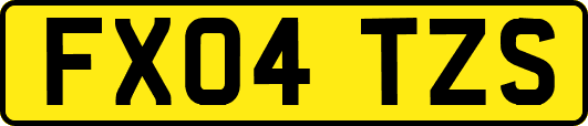 FX04TZS