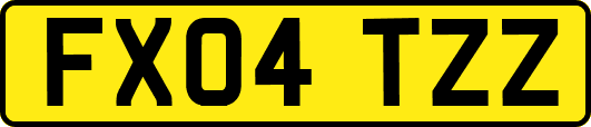 FX04TZZ