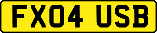 FX04USB