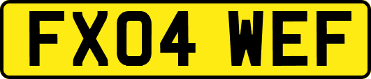 FX04WEF
