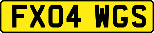 FX04WGS