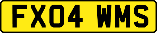 FX04WMS