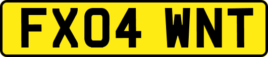 FX04WNT