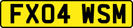 FX04WSM