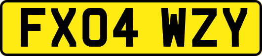 FX04WZY