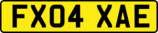 FX04XAE