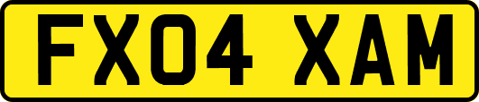 FX04XAM