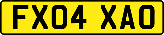 FX04XAO