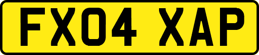 FX04XAP