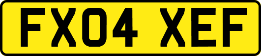 FX04XEF