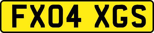 FX04XGS