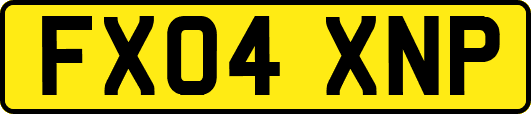 FX04XNP