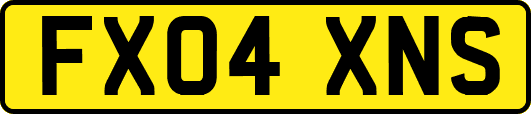 FX04XNS