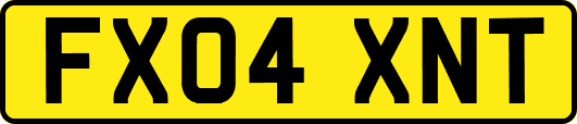FX04XNT