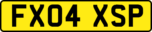 FX04XSP