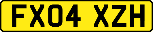 FX04XZH