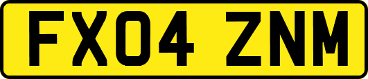 FX04ZNM