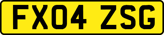 FX04ZSG