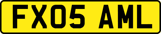 FX05AML