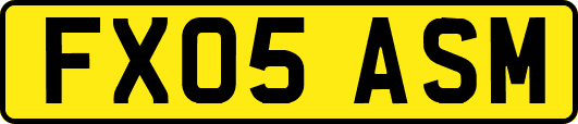FX05ASM