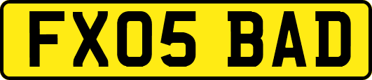 FX05BAD