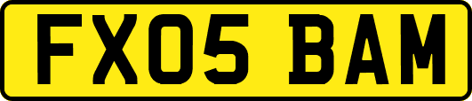 FX05BAM