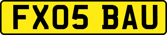 FX05BAU