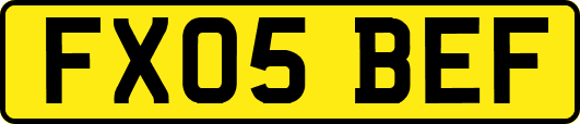 FX05BEF