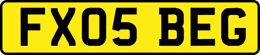 FX05BEG