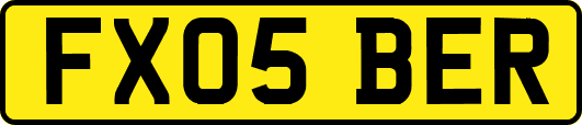 FX05BER