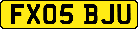 FX05BJU