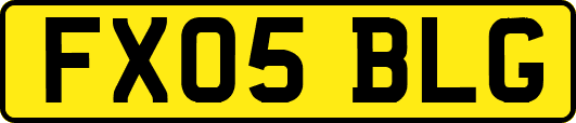 FX05BLG