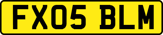 FX05BLM